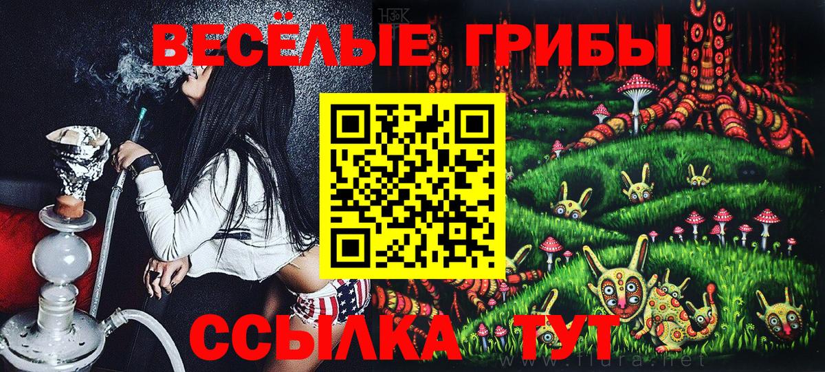 Спасск-Дальний  Псилоцибиновые грибы мицелий  Вход с VPN 