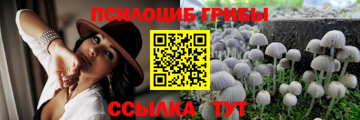 Галлюциногенные грибы мухоморы Спасск-Дальний